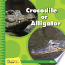 Crocodile or Alligator