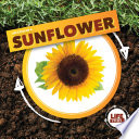Life Cycle of a Sunflower Book