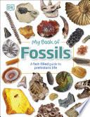 My Book of Fossils