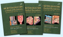 The Netter Collection of Medical Illustrations  Digestive System Package