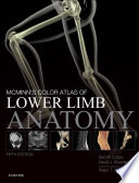 McMinn s Color Atlas of Lower Limb Anatomy E Book Book