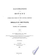 Illustrations of the Botany and Other Branches of the Natural History of the Himalayan Mountains  etc  