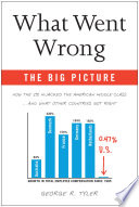 What Went Wrong  The Big Picture Book