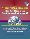 Aviation Artificial Intelligence