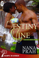 Destiny Mine (Destiny African Romance #2) Pdf/ePub eBook