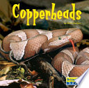 Copperheads Book