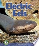Electric Eels Book