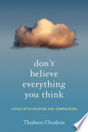 Don t Believe Everything You Think Book