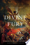 Divine Fury Book