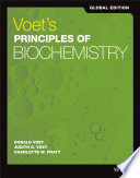 Voet s Principles of Biochemistry