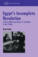 Egypt's Incomplete Revolution