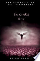 The Cracked Mirror Book PDF