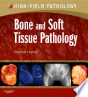 Bone and Soft Tissue Pathology E Book
