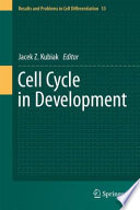 Cell Cycle In Development