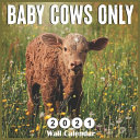 Baby Cows Only 2021 Wall Calendars