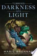 Turning Darkness Into Light Book