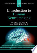 Introduction to Human Neuroimaging Book