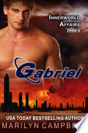 Gabriel  The Innerworld Affairs Series  Book 4 