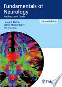Fundamentals of Neurology Book