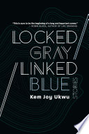 Locked Gray   Linked Blue Book