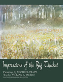 Impressions of the Big Thicket