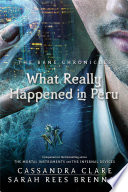 What Really Happened in Peru Book