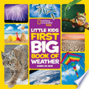 Little Kids First Big Book of Weather Book PDF