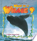 What is a Whale  Book