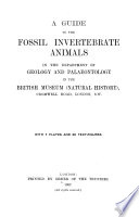 A Guide to the Fossil Invertebrate Animals in the Department of Geology and Palaeontology in the British Museum  Natural History 
