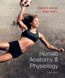 Human Anatomy   Physiology