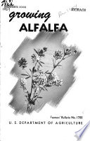 Growing Alfalfa
