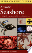 A Field Guide to the Atlantic Seashore Book