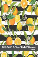 2019 2020 2 Year Pocket Planner Lemons 6x9