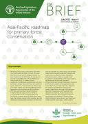 Asia-Pacific roadmap for primary forest conservation