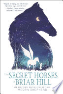 The Secret Horses of Briar Hill Book