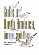 Gulls of North America, Europe, and Asia
