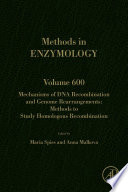 Mechanisms of DNA Recombination and Genome Rearrangements  Methods to Study Homologous Recombination Book