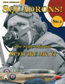 The Supermarine Spitfire Mk.VI