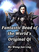 Fantastic Bead of the World's Original Qi