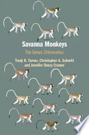 Savanna Monkeys