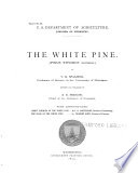 The White Pine  Pinus Strobus Linnaeus 