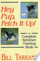 Hey Pup  Fetch It Up 