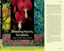 Bleeding Hearts Corydalis And Their Relatives