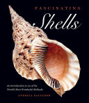 Fascinating Shells