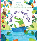 Lift The Flap First Questions and Answers  What Are Feelings  Board Book
