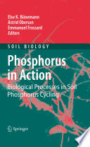 Phosphorus in Action Book