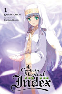 A Certain Magical Index  Vol  1  light novel 