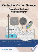 Geological Carbon Storage Book