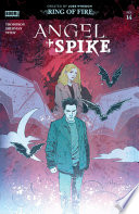 Book Angel   Spike  14 Cover