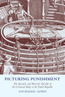 Picturing Punishment